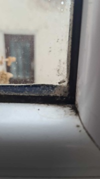 Detail rohu okna 200